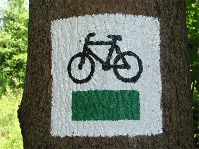 szlak rowerowy namalowany na drzewie